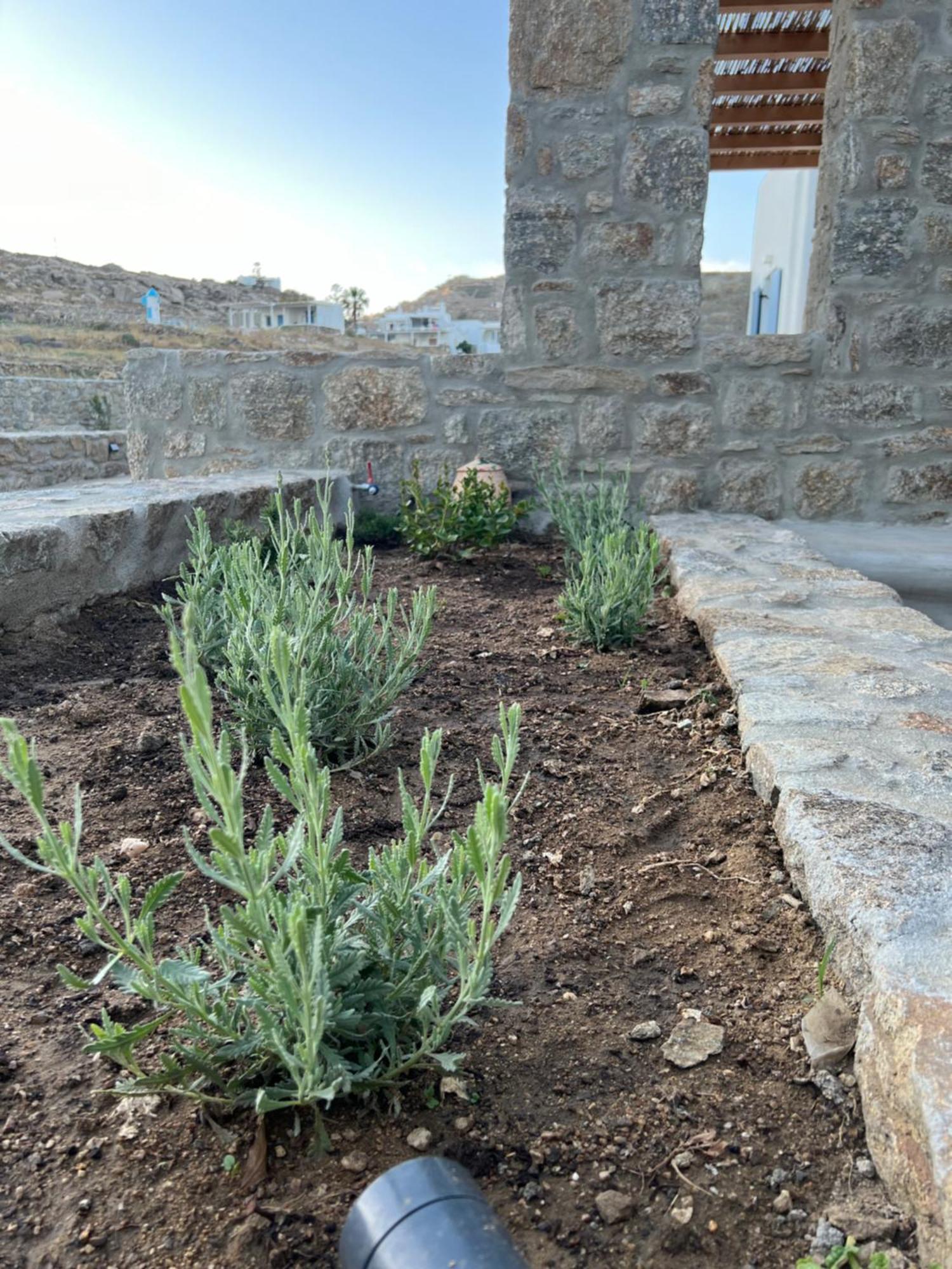 Miamis Villas Mykonos II Mykonos Town Exteriör bild